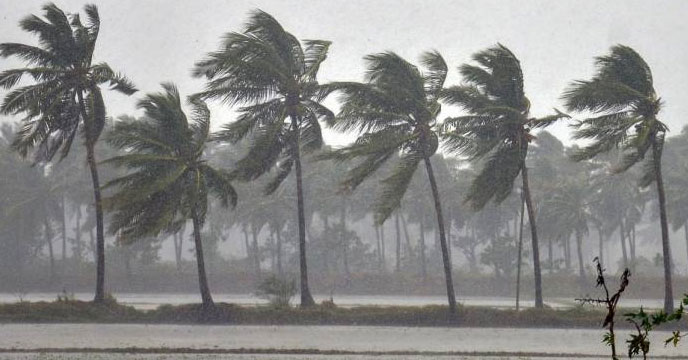 ১৫ অঞ্চলে বজ্রসহ বৃষ্টি হতে পারে