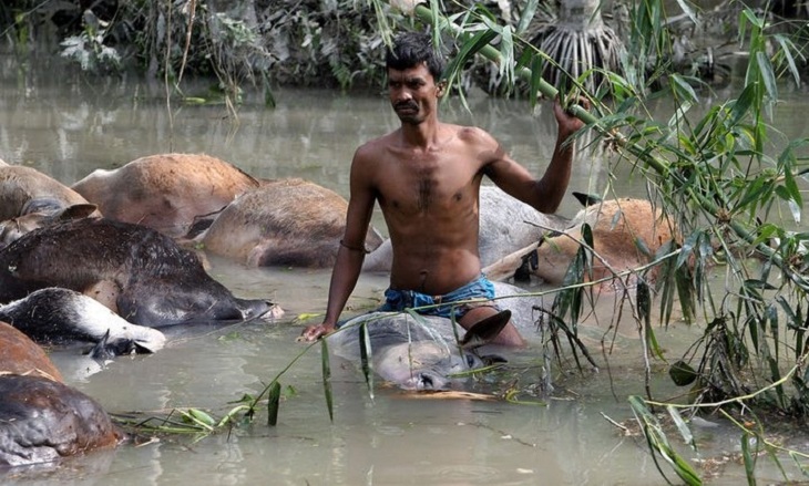 আগামীকাল ভয়াল ১২ নভেম্বর