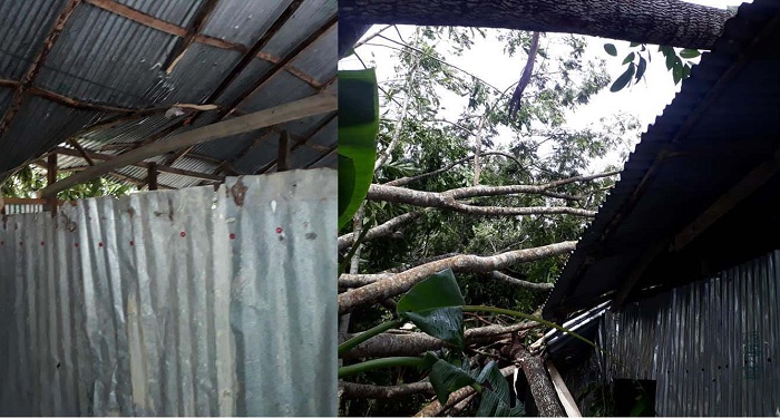 কাঠালিয়ায় ঘূর্ণিঝড় বুলবুলের আঘাতে শিক্ষা প্রতিষ্ঠানের ব্যাপক ক্ষতি
