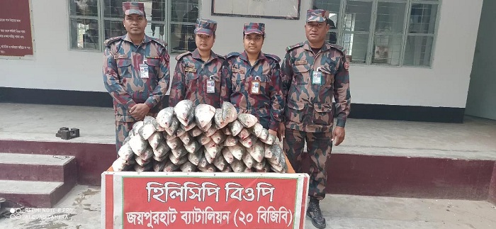 ভারতে পাচারকালে ৮৩ কেজি ইলিশ জব্দ